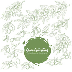 Vector hand drawn outline collection of olive, branch and leaves. Line art sketch set of healthy food element of olive tree.  Isolated on white background stock illustration.