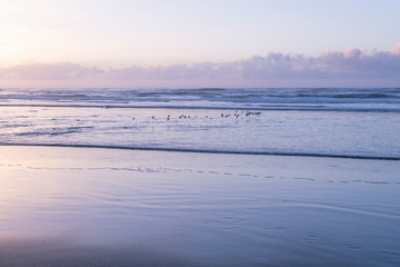海　雲　朝焼け