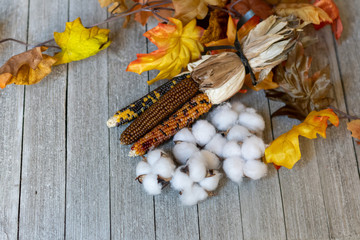 Autumn Background with leaves, pumpkins, dried corn, and gourds.