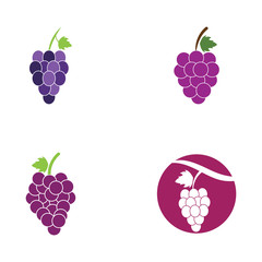 set of grapes logo template vector icon illustration