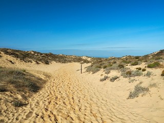 Fototapeta na wymiar Oceanside with dunes in Vila Nova de Milfontes in Portugal at river Mira
