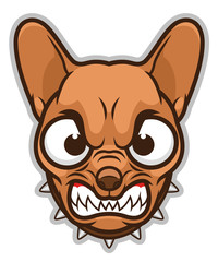 Angry Chihuahua head