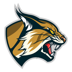 Bobcat head profile © Refluo