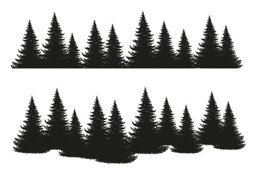 Black silhouettes of conifers isolated on white background. Collection of pines, spruce, larch, cedars. Set of park, forest, landscape elements. Flat stock vector