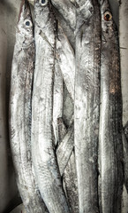 Fish on market, black scabbard (espada) in fish market