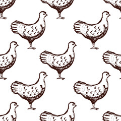 Chicken Pattern Seamless Hand Drawn on White Background. Vector