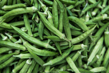 Green Okra textured. Fresh young okra for food, Ochro Gumbo