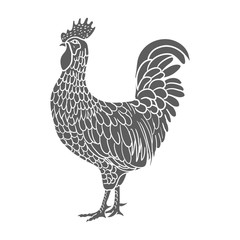 Rooster. Hen or chicken hand drawn with contour lines on white background. Elegant monochrome drawing of domestic farm poultry bird. illustration in vintage woodcut, engraving or etching style. Vector