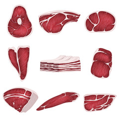 Lamb, pork beef, and other meat pictures in flat style. Steak of beef, raw pork meat.
