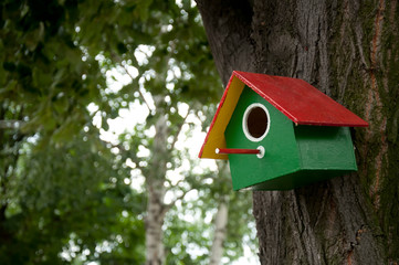 Home-made bright colored bird house