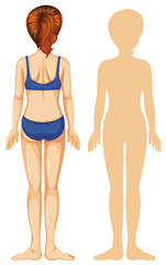 Back of woman on white background