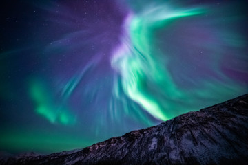 Amazing northern ligths looking almost like a fireworks explosion. Aurora borealis above snow covered mountains. Vibrant colors in green, pink, blue and purple. Tromso Norway.