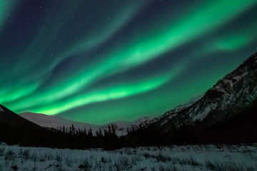 Soft northern lights on dark sky. Winter landscape with gentle waves of aurora borealis. Snow, fir trees. Viewing the mountain top Tromsdalstinden in the valley Tromsdalen.  Tromso, Norway.