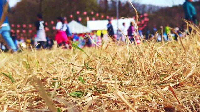 フェス