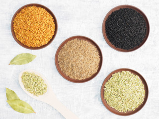 Spices set on concrete background in clay plate and spoon. Black cumin, jeera, fennel, fenugreek. Modern apothecary, naturopathy and ayurveda concept.