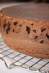 Homemade Delicious Steamed Brownies