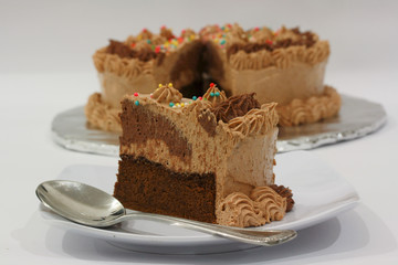 Homemade Delicious Chocolate Cream Cake