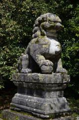 宇佐神宮の狛犬