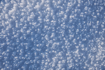 Snow texture. Natural winter background