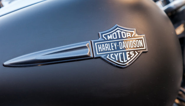The emblem on the fuel tank of a motorcycle Harley Davidson