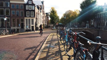 people and bikes in amsterdam