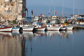 boats in the harbor
