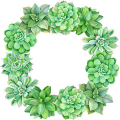 wreath of succulents, cacti on a white background, beautiful plants, watercolor floral design, frame with succulent