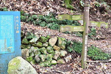 熊野古道 九十九王子 中川王子