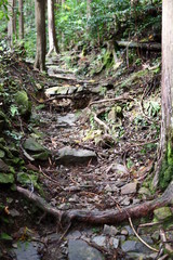 熊野古道 わらじ峠石畳