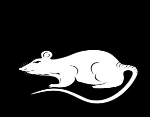 2020 New Year. The white metal rat is a symbol of the Chinese New Year. illustration