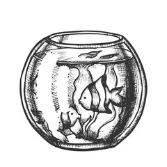 Aquarium With Decorative Fish Monochrome Vector. Home Aquarium Or Fishbowl With Seaweed. Animal Pet Shop Engraving Template Hand Drawn In Vintage Style Black And White Illustration