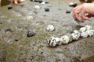 古代のおもちゃ