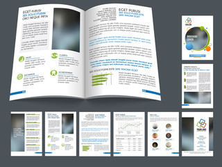 Professional business brochure, template or flyer.