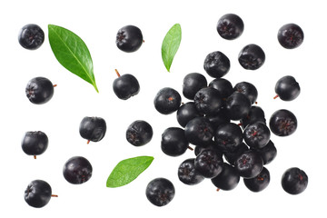 Chokeberry with green leaves isolated on white background. Black aronia. Top view.