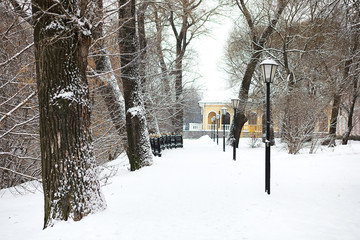 Winter landscape of country fields and roads