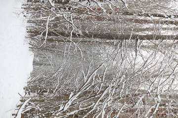 Winter landscape snow covered expanses. A park in the winter in the snow. Road on a winter day.