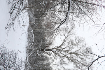 Winter landscape snow covered expanses. A park in the winter in the snow. Road on a winter day.