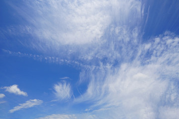 Fototapeta premium The blue sky and white clouds indicate pure and freshing