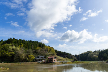 新潟の田園風景