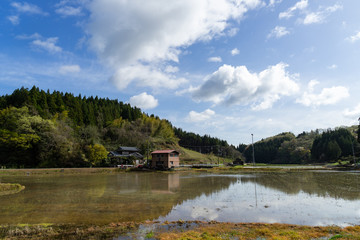 新潟の田園風景