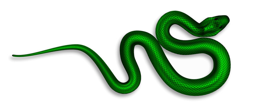 Snake 3d illustration Stock Photo by ©julos 4397060