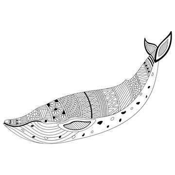 Creative hand drawn doodle illustration of Fish.