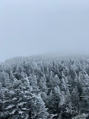 Winter is coming ❄️