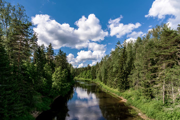 Obraz premium the river plyussa, Pskov oblast, Russia