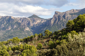 Fototapeta na wymiar Serra de Tramuntana mountains
