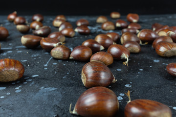 View of some raw chestnuts on a black background with gray moles
