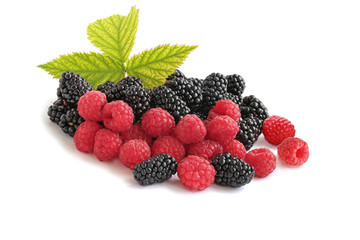 Heap of blackberries and raspberries with a sprig isolated on white