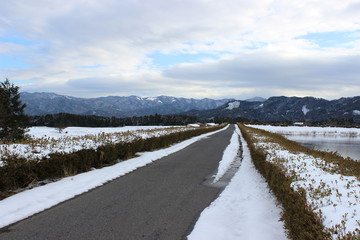 Obraz premium 冬道