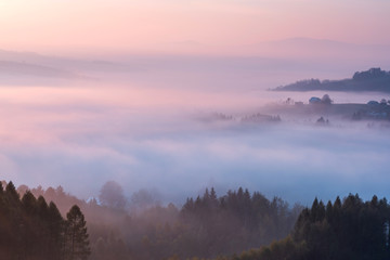 Pastel Clouds at Sunrise over Fog and Forest