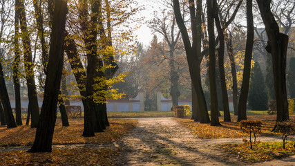 Fototapeta na wymiar Jesień w Parku Branickich, Wersal Podlasie, Białystok, Podlasie, Polska